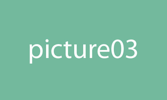 Picture 3