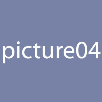 Picture 4