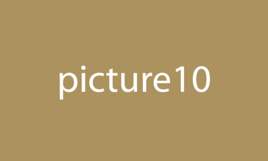 Picture 10