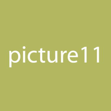 Picture 11