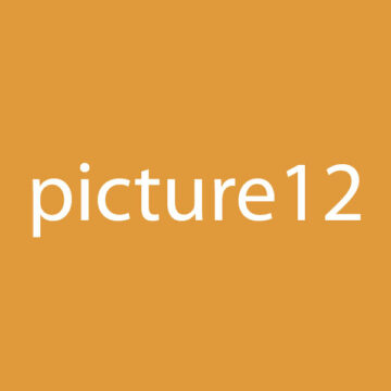 Picture 12