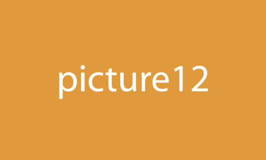 Picture 12